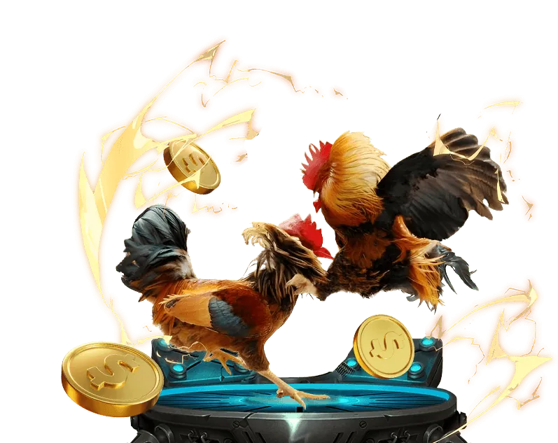 Tổng quan về đá gà trực tuyến Sin 888